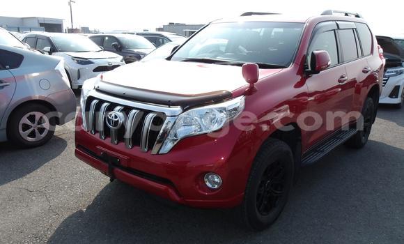 Buy Used Toyota Land Cruiser Prado Red Car in Windhoek in Namibia Buy Used Toyota Land Cruiser Prado Red Car in Windhoek in Namibia