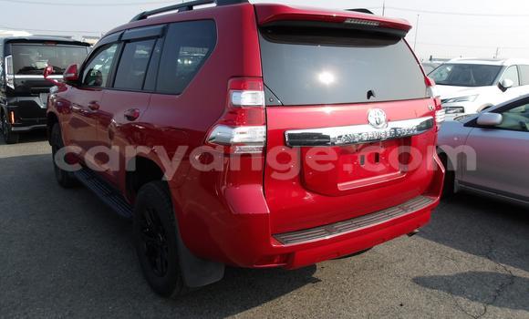 Buy Used Toyota Land Cruiser Prado Red Car in Windhoek in Namibia Buy Used Toyota Land Cruiser Prado Red Car in Windhoek in Namibia