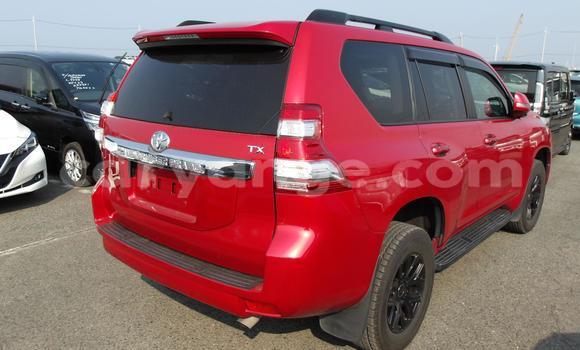 Buy Used Toyota Land Cruiser Prado Red Car in Windhoek in Namibia Buy Used Toyota Land Cruiser Prado Red Car in Windhoek in Namibia