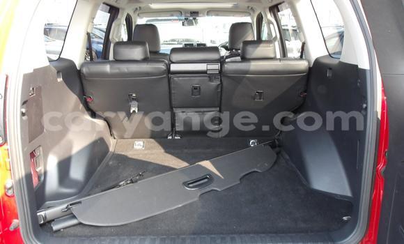 Buy Used Toyota Land Cruiser Prado Red Car in Windhoek in Namibia Buy Used Toyota Land Cruiser Prado Red Car in Windhoek in Namibia