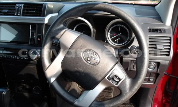 Buy Used Toyota Land Cruiser Prado Red Car in Windhoek in Namibia Buy Used Toyota Land Cruiser Prado Red Car in Windhoek in Namibia