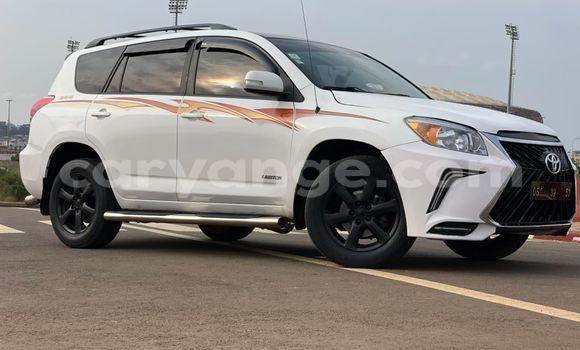 Buy Used Toyota RAV4 White Car in Windhoek in Namibia Buy Used Toyota RAV4 White Car in Windhoek in Namibia