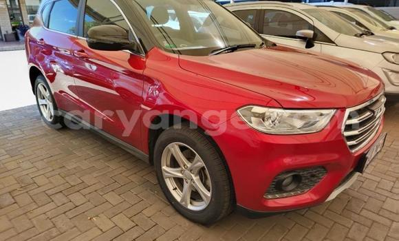 Buy Used Haval H2 Red Car in Windhoek in Namibia Buy Used Haval H2 Red Car in Windhoek in Namibia