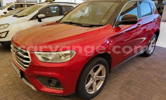 Buy Used Haval H2 Red Car in Windhoek in Namibia Buy Used Haval H2 Red Car in Windhoek in Namibia
