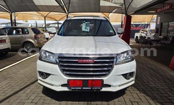 Buy Used Haval H2 White Car in Windhoek in Namibia Buy Used Haval H2 White Car in Windhoek in Namibia