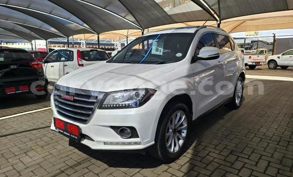 Buy Used Haval H2 White Car in Windhoek in Namibia Buy Used Haval H2 White Car in Windhoek in Namibia
