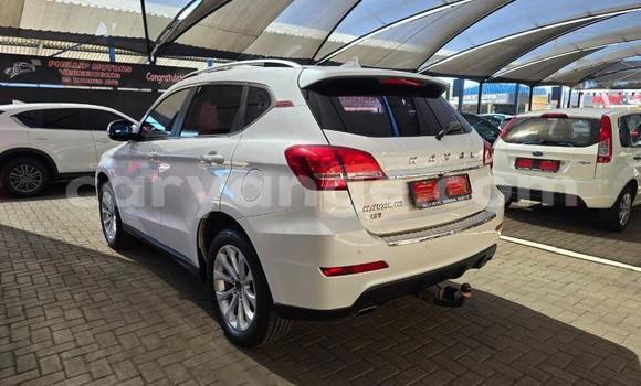 Buy Used Haval H2 White Car in Windhoek in Namibia Buy Used Haval H2 White Car in Windhoek in Namibia