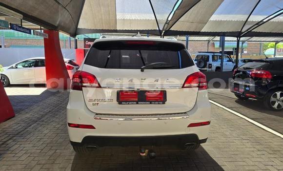 Buy Used Haval H2 White Car in Windhoek in Namibia Buy Used Haval H2 White Car in Windhoek in Namibia