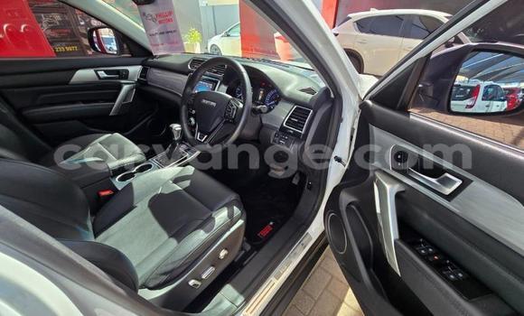 Buy Used Haval H2 White Car in Windhoek in Namibia Buy Used Haval H2 White Car in Windhoek in Namibia