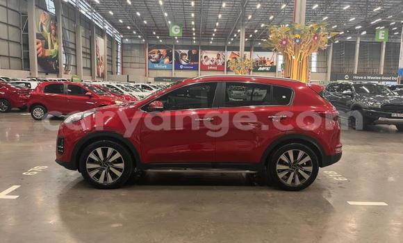 Buy Used Kia Sportage Red Car in Windhoek in Namibia Buy Used Kia Sportage Red Car in Windhoek in Namibia