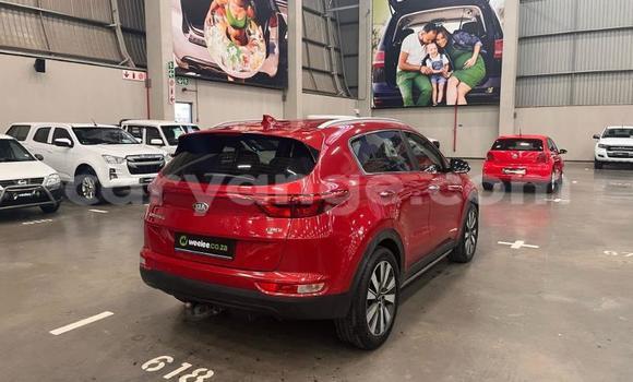 Buy Used Kia Sportage Red Car in Windhoek in Namibia Buy Used Kia Sportage Red Car in Windhoek in Namibia