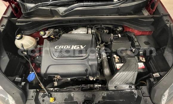 Buy Used Kia Sportage Red Car in Windhoek in Namibia Buy Used Kia Sportage Red Car in Windhoek in Namibia