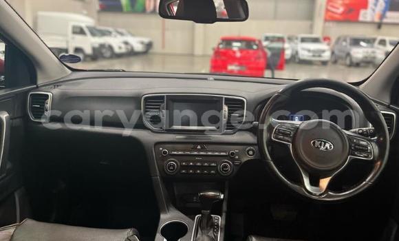 Buy Used Kia Sportage Red Car in Windhoek in Namibia Buy Used Kia Sportage Red Car in Windhoek in Namibia