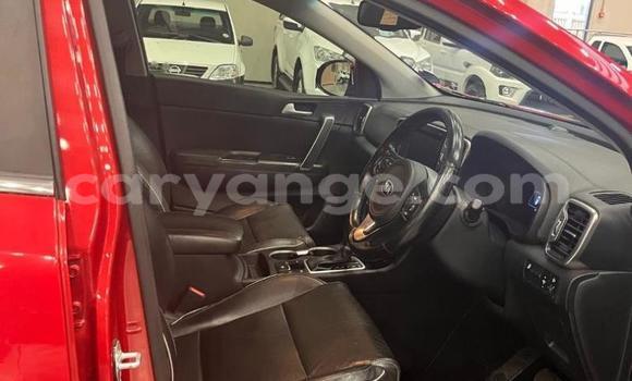 Buy Used Kia Sportage Red Car in Windhoek in Namibia Buy Used Kia Sportage Red Car in Windhoek in Namibia