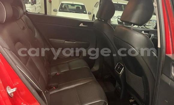 Buy Used Kia Sportage Red Car in Windhoek in Namibia Buy Used Kia Sportage Red Car in Windhoek in Namibia
