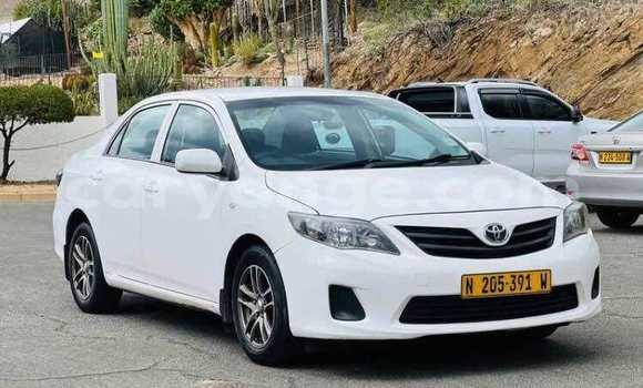 Buy Used Toyota Corolla White Car in Windhoek in Namibia
