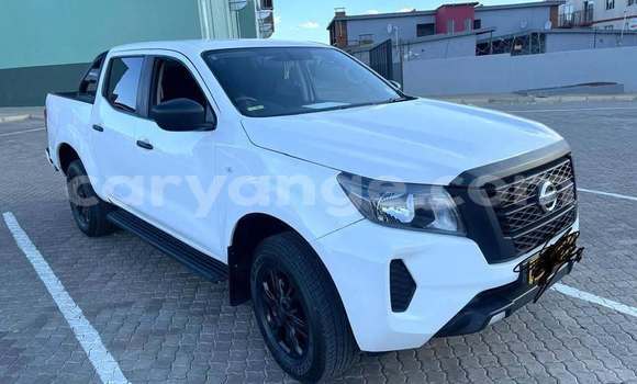 Buy Used Nissan Navara White Car in Windhoek in Namibia