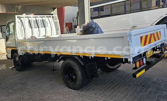Acheter Occasion Utilitaire Isuzu FTR 850 Blanc à Windhoek, Namibie Acheter Occasion Utilitaire Isuzu FTR 850 Blanc à Windhoek, Namibie