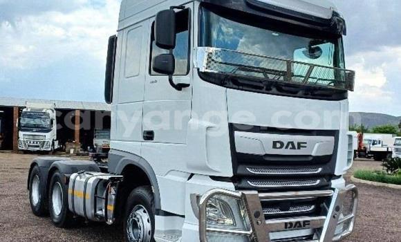 Buy Used DAF CF White Truck in Windhoek in Namibia Buy Used DAF CF White Truck in Windhoek in Namibia