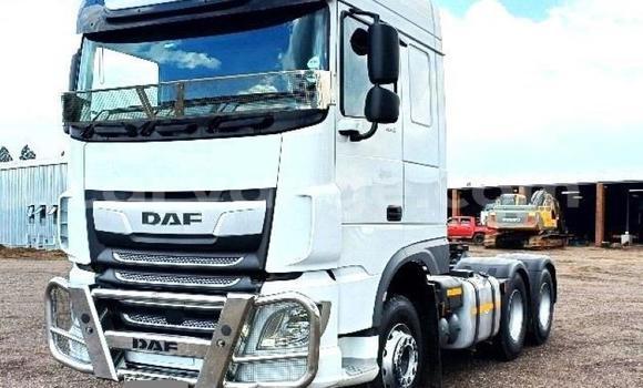 Buy Used DAF CF White Truck in Windhoek in Namibia Buy Used DAF CF White Truck in Windhoek in Namibia