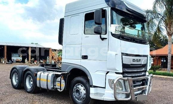 Buy Used DAF CF White Truck in Windhoek in Namibia Buy Used DAF CF White Truck in Windhoek in Namibia