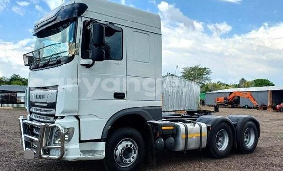 Buy Used DAF CF White Truck in Windhoek in Namibia Buy Used DAF CF White Truck in Windhoek in Namibia