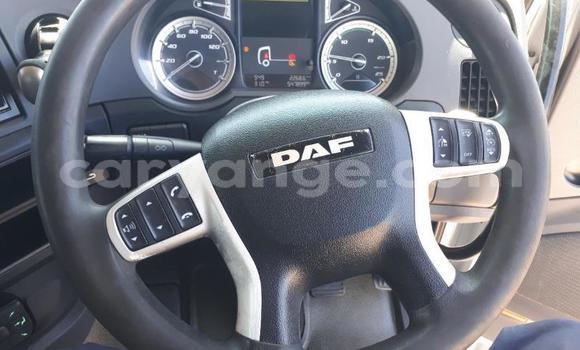 Buy Used DAF CF White Truck in Windhoek in Namibia Buy Used DAF CF White Truck in Windhoek in Namibia