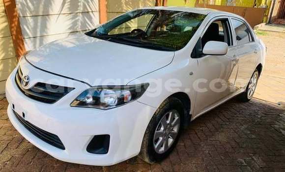 Buy Used Toyota Alphard White Car in Windhoek in Namibia