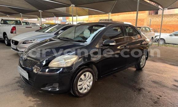 Buy Used Toyota Yaris Black Car in Windhoek in Namibia Buy Used Toyota Yaris Black Car in Windhoek in Namibia