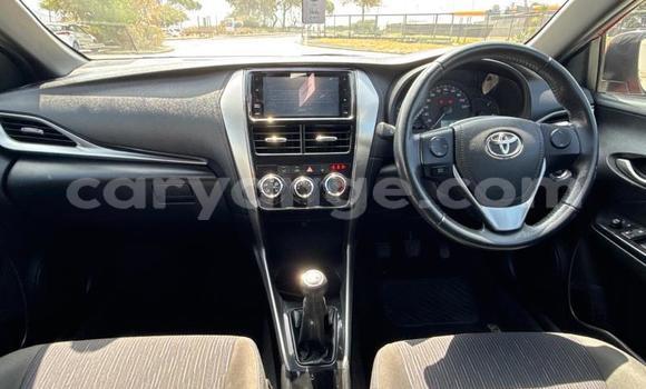 Buy Used Toyota Yaris Brown Car in Windhoek in Namibia Buy Used Toyota Yaris Brown Car in Windhoek in Namibia