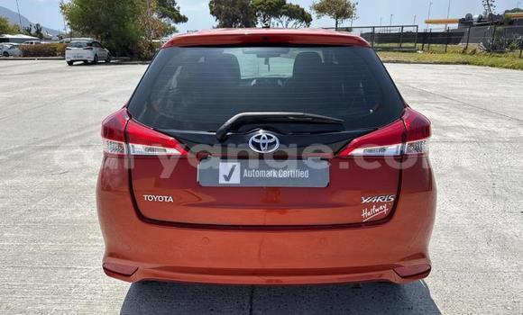 Buy Used Toyota Yaris Brown Car in Windhoek in Namibia Buy Used Toyota Yaris Brown Car in Windhoek in Namibia