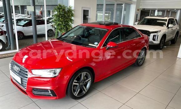 Buy Used Audi A4 Red Car in Windhoek in Namibia