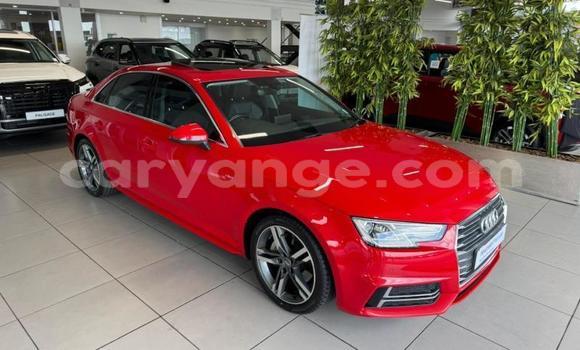 Buy Used Audi A4 Red Car in Windhoek in Namibia Buy Used Audi A4 Red Car in Windhoek in Namibia