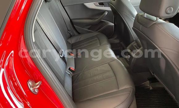 Buy Used Audi A4 Red Car in Windhoek in Namibia Buy Used Audi A4 Red Car in Windhoek in Namibia
