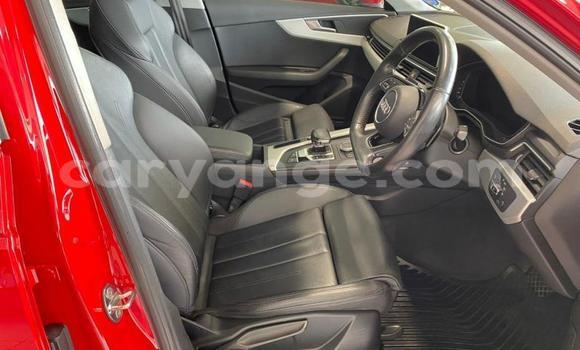 Buy Used Audi A4 Red Car in Windhoek in Namibia Buy Used Audi A4 Red Car in Windhoek in Namibia
