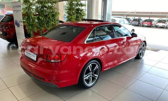 Buy Used Audi A4 Red Car in Windhoek in Namibia Buy Used Audi A4 Red Car in Windhoek in Namibia