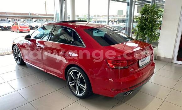Buy Used Audi A4 Red Car in Windhoek in Namibia Buy Used Audi A4 Red Car in Windhoek in Namibia