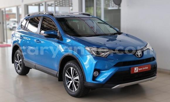 Buy Used Toyota RAV4 Blue Car in Windhoek in Namibia Buy Used Toyota RAV4 Blue Car in Windhoek in Namibia