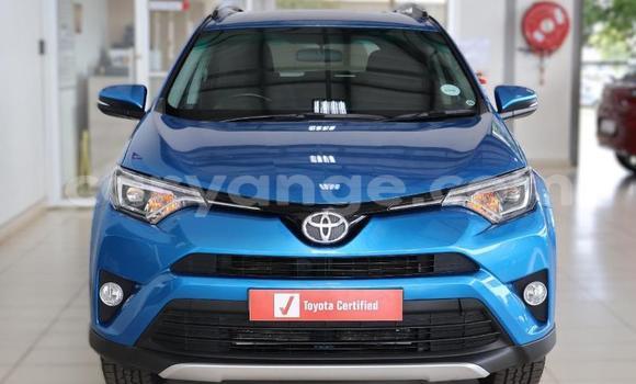 Buy Used Toyota RAV4 Blue Car in Windhoek in Namibia Buy Used Toyota RAV4 Blue Car in Windhoek in Namibia