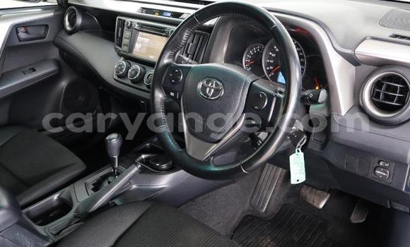 Buy Used Toyota RAV4 Blue Car in Windhoek in Namibia Buy Used Toyota RAV4 Blue Car in Windhoek in Namibia