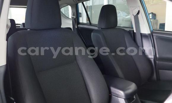 Buy Used Toyota RAV4 Blue Car in Windhoek in Namibia Buy Used Toyota RAV4 Blue Car in Windhoek in Namibia