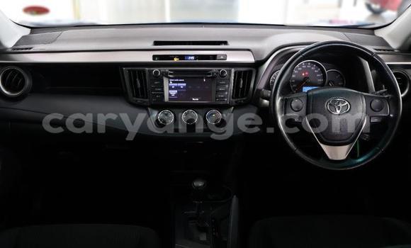 Buy Used Toyota RAV4 Blue Car in Windhoek in Namibia Buy Used Toyota RAV4 Blue Car in Windhoek in Namibia