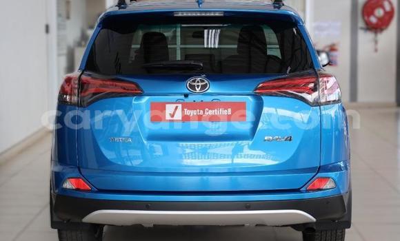 Buy Used Toyota RAV4 Blue Car in Windhoek in Namibia Buy Used Toyota RAV4 Blue Car in Windhoek in Namibia