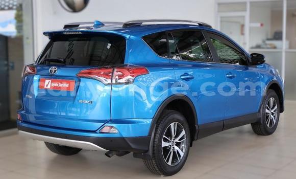 Buy Used Toyota RAV4 Blue Car in Windhoek in Namibia Buy Used Toyota RAV4 Blue Car in Windhoek in Namibia