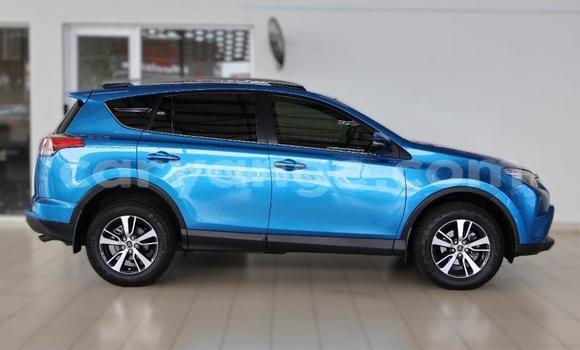 Buy Used Toyota RAV4 Blue Car in Windhoek in Namibia Buy Used Toyota RAV4 Blue Car in Windhoek in Namibia