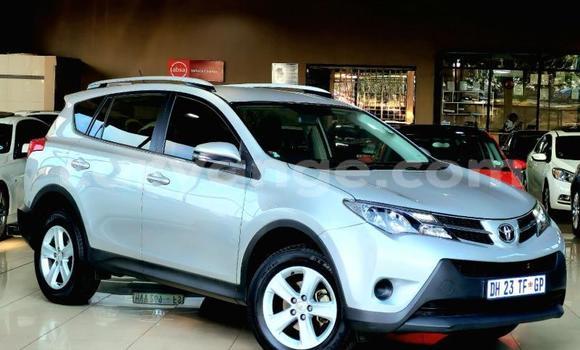 Buy Used Toyota RAV4 Silver Car in Windhoek in Namibia Buy Used Toyota RAV4 Silver Car in Windhoek in Namibia