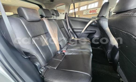 Buy Used Toyota RAV4 Silver Car in Windhoek in Namibia Buy Used Toyota RAV4 Silver Car in Windhoek in Namibia