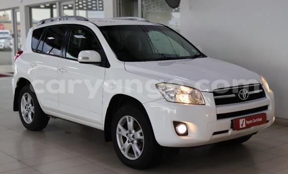 Buy Used Toyota RAV4 White Car in Windhoek in Namibia Buy Used Toyota RAV4 White Car in Windhoek in Namibia