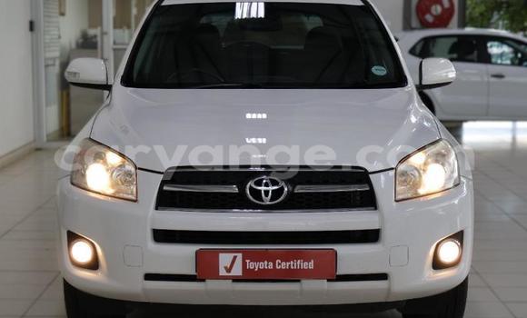 Buy Used Toyota RAV4 White Car in Windhoek in Namibia Buy Used Toyota RAV4 White Car in Windhoek in Namibia