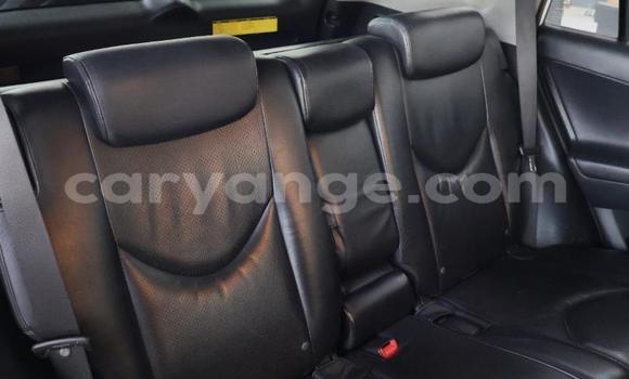 Buy Used Toyota RAV4 White Car in Windhoek in Namibia Buy Used Toyota RAV4 White Car in Windhoek in Namibia